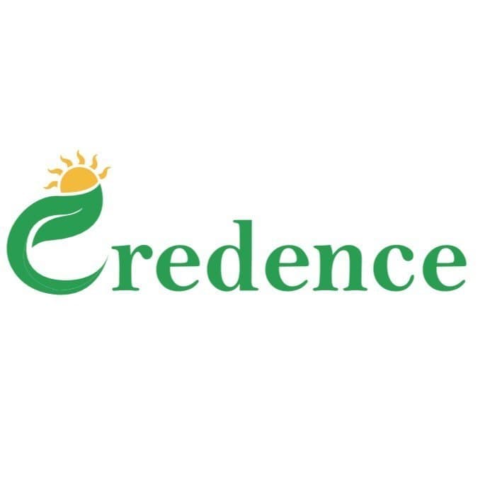 Credence Solar Achieves BIS Listing for 745W TOPCon Modules, Strengthening its Leadership in High-Wattage Solar Technology